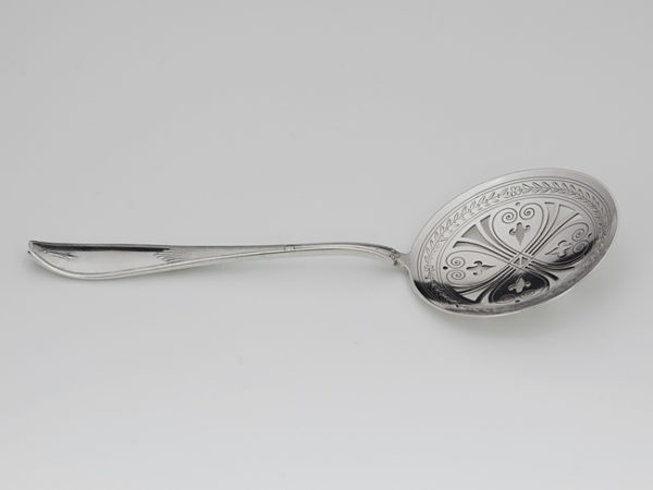 Zilveren natfruitschep-9858