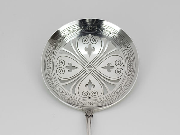 Zilveren natfruitschep-9859