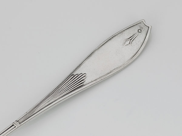 Zilveren natfruitschep-9860