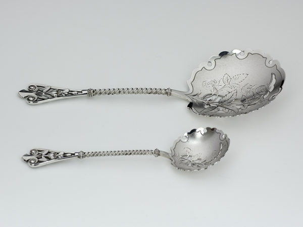 Zilveren Art Nouveau natfruitlepel + strooilepel uit 1901 in etui-12509